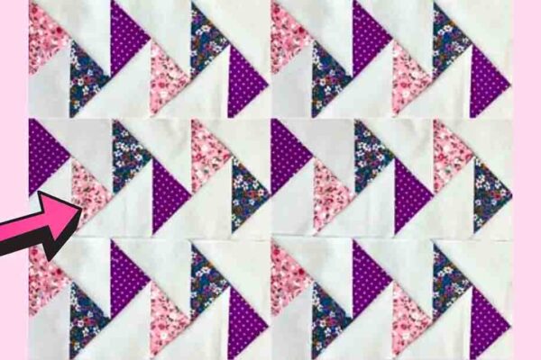 Finished Block Geese Quilt for Beginners, a completed DIY project