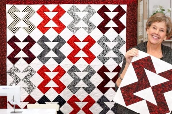 Finished Brown Goose Quilt With Jenny Doan, a completed DIY project