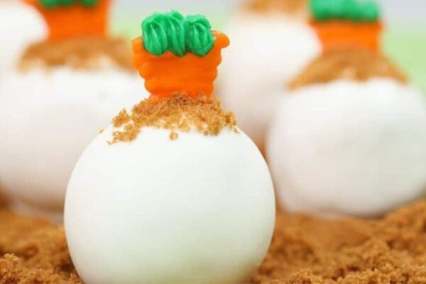 Carrot Cake Balls, homemade and freshly served