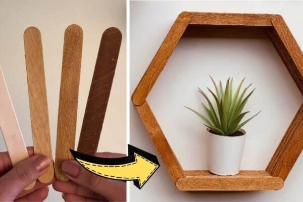 Finished Cheap DIY Hexagon Shelves Using Popsicle Sticks, a completed DIY project