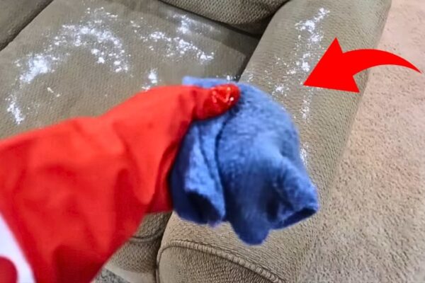 How to Clean a Couch and Remove Odors (Cheap and Easy)