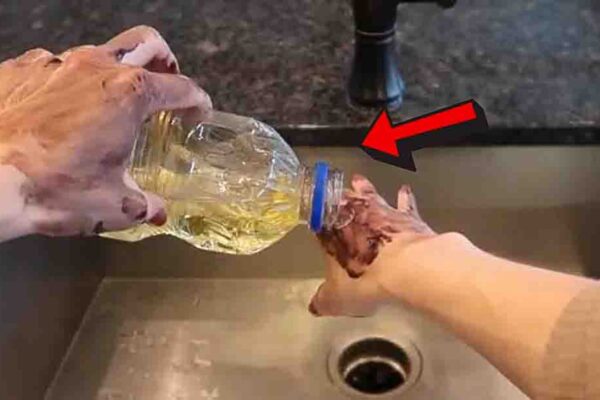 Finished How To Clean Grease from Hands Instantly without Soap, a completed DIY project