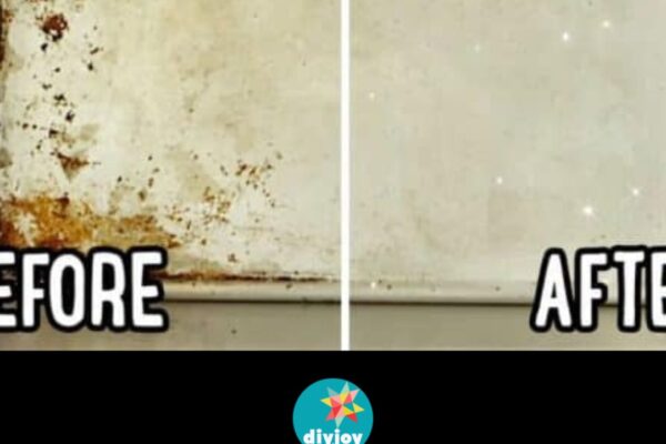 Easiest Way to Clean a Sheet Pan without Harmful Chemicals