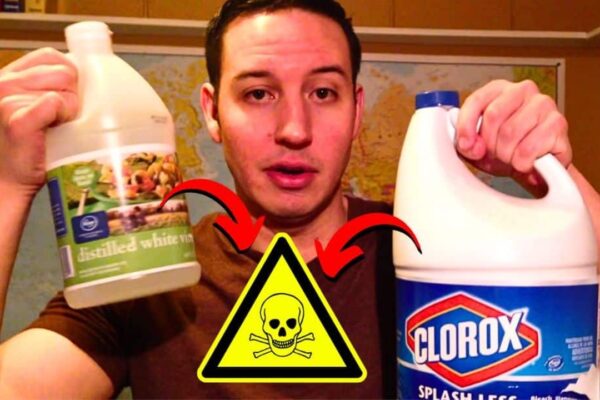 Finished 6 Cleaning Product Combinations That You Should Never Mix, a completed DIY project