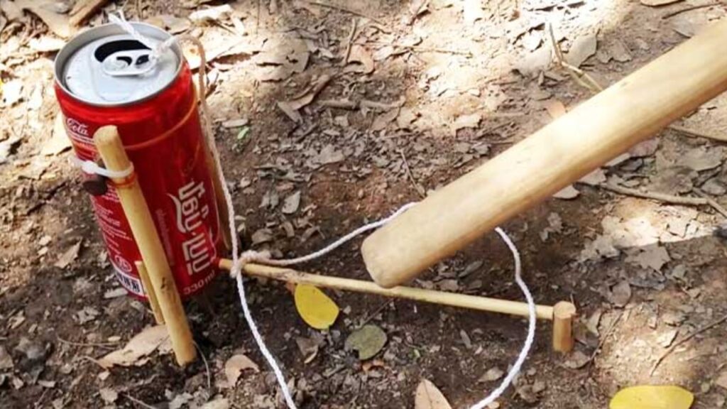 Finished A Bird Trap From Coke Cans, a completed DIY project