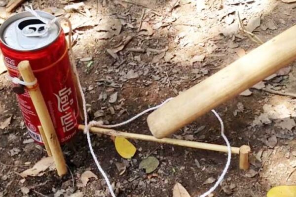 Finished A Bird Trap From Coke Cans, a completed DIY project