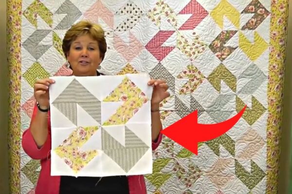 Finished Colorado Quilt With Jenny Doan, a completed DIY project