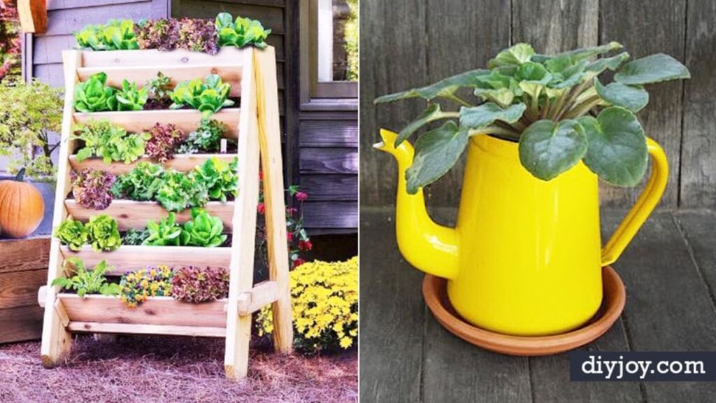 Finished 34 DIY Container Gardening, a completed DIY project