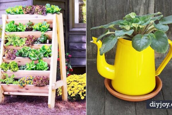 Finished 34 DIY Container Gardening, a completed DIY project