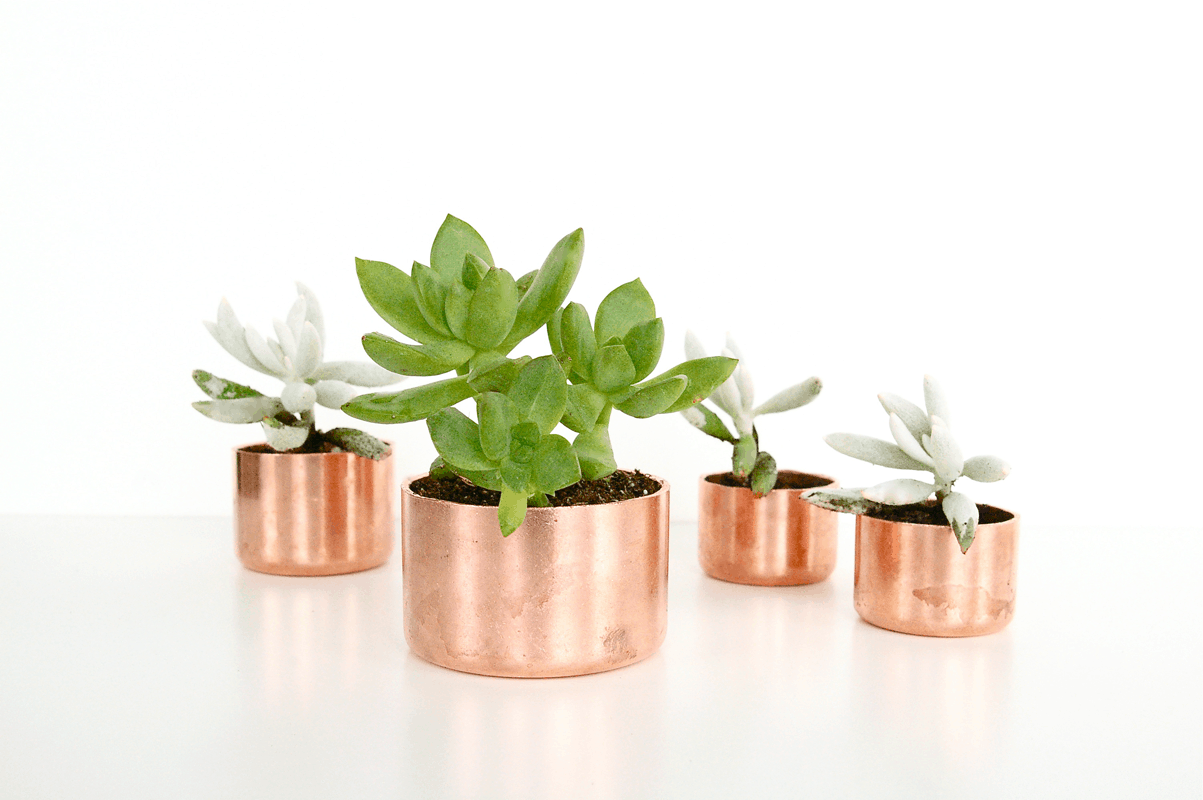 Mini Copper Planters - DIY Plant Hangers and Stands