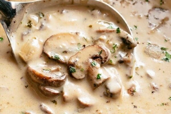 Cream of Mushroom Soup, homemade and freshly served