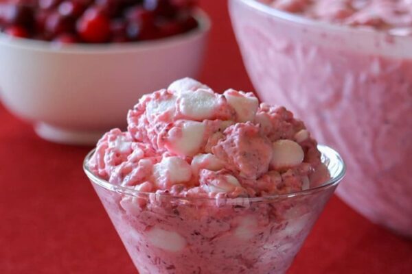 a Creamy Cranberry Salad, homemade and freshly served