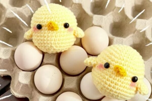 Crochet Baby Chicken for Beginners, homemade and freshly served