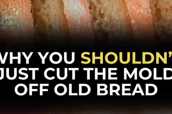 Why You Shouldn’t Just Cut The Mold Off Old Bread, homemade and freshly served