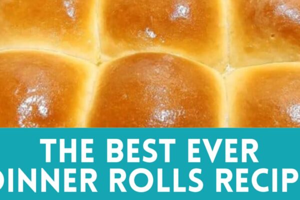 The Best Ever Dinner Rolls for Thanksgiving, homemade and freshly served