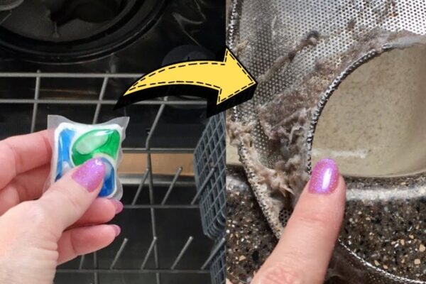 Finished Dishwasher Tips And Tricks That You Should Know, a completed DIY project