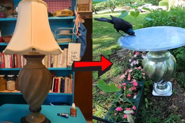 Finished DIY Birdbath Under $10, a completed DIY project