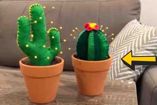 Finished DIY Cactus Pin Cushion, a completed DIY project