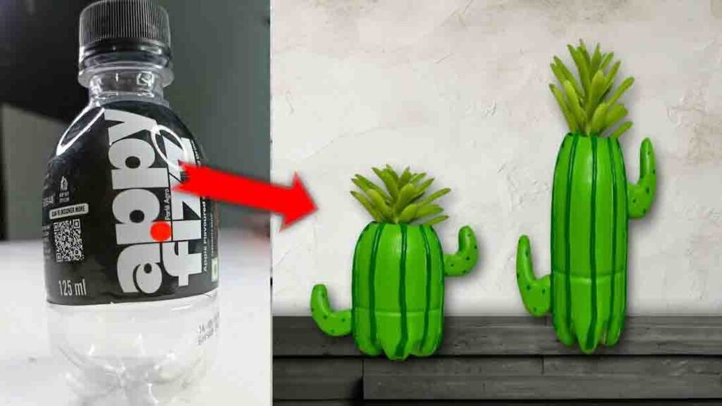 Finished DIY Cactus Plant Holder Using An Old Plastic Bottle, a completed DIY project