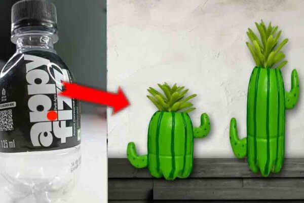 Finished DIY Cactus Plant Holder Using An Old Plastic Bottle, a completed DIY project