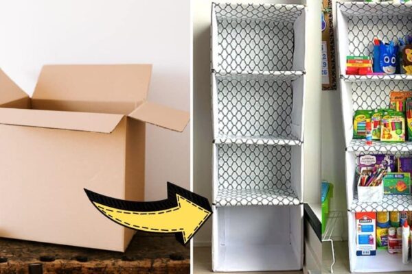 Finished DIY Shelf Organizer Using Cardboard Boxes, a completed DIY project