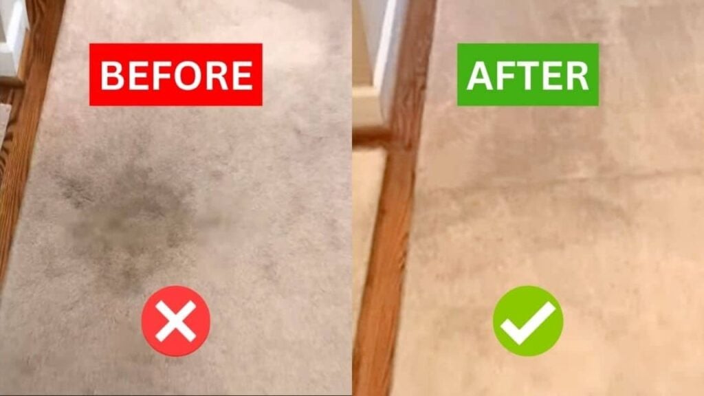 Finished DIY Carpet Stain Remover for Pennies, a completed DIY project