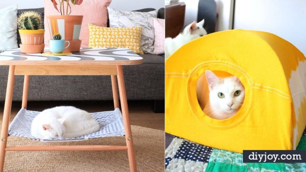 Finished 31 Brilliantly Clever Cat Hacks, a completed DIY project