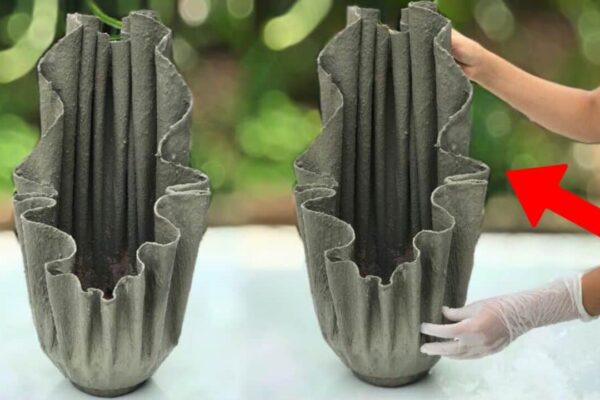 Finished DIY Cement Flower Pot, a completed DIY project
