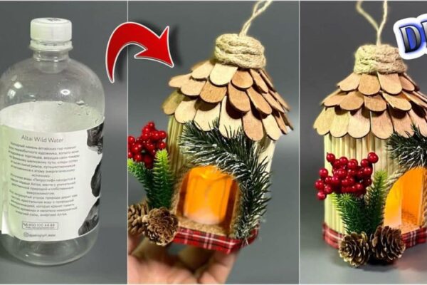 Finished DIY Christmas Bird House Decoration, a completed DIY project
