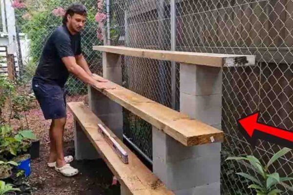 Finished Easy DIY Cinder Block Plant Shelf, a completed DIY project