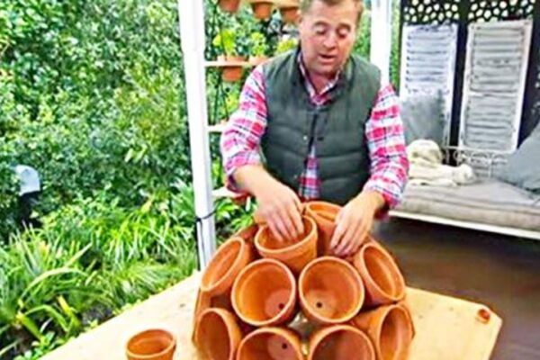 Max Out Garden Space With This DIY Statement Piece Planter, homemade and freshly served