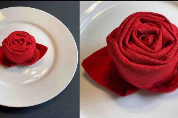 Finished A Cloth Napkin Rose, a completed DIY project