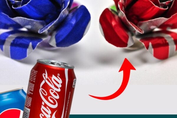 DIY Beer Can Rose, homemade and freshly served
