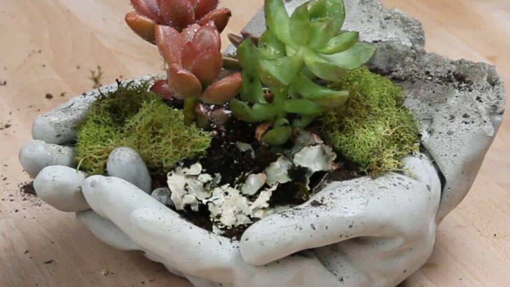 Finished Watch How She Makes One Of The Most Distinctive Planter’s Ever!, a completed DIY project
