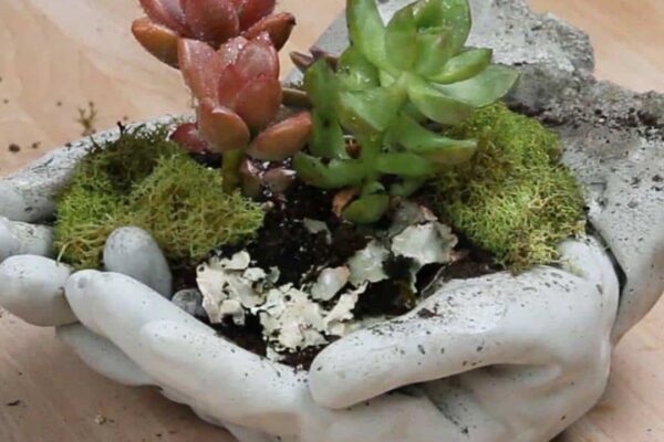 Finished Watch How She Makes One Of The Most Distinctive Planter’s Ever!, a completed DIY project