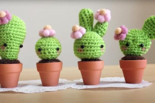 Finished DIY Amigurumi Crochet Kawaii Cactus, a completed DIY project