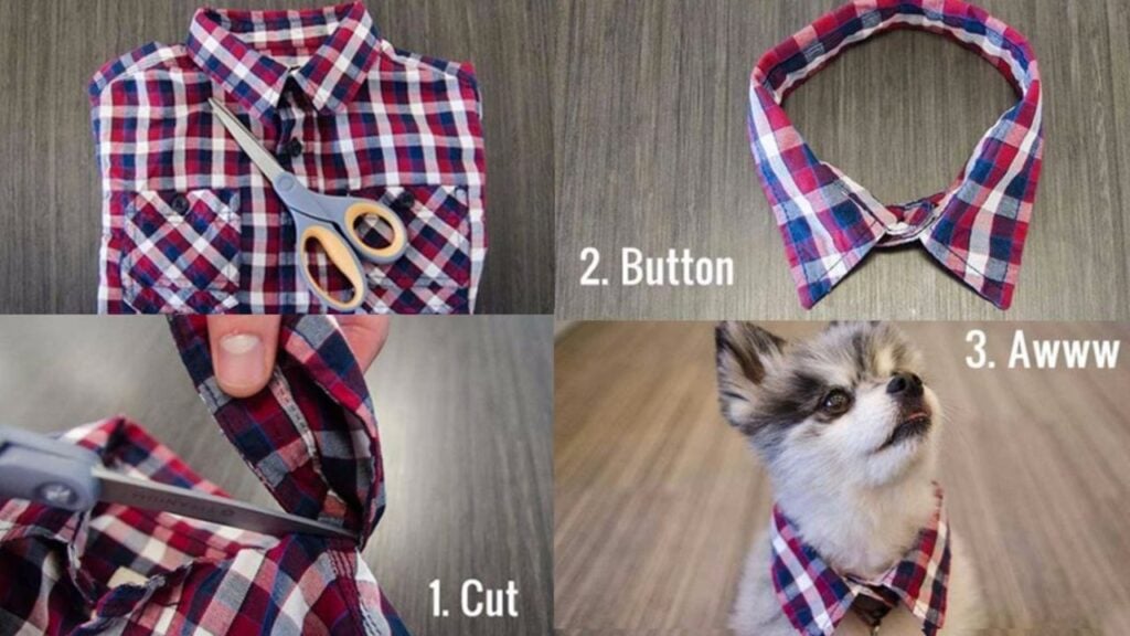 Finished 33 Dog Hacks To Try, a completed DIY project