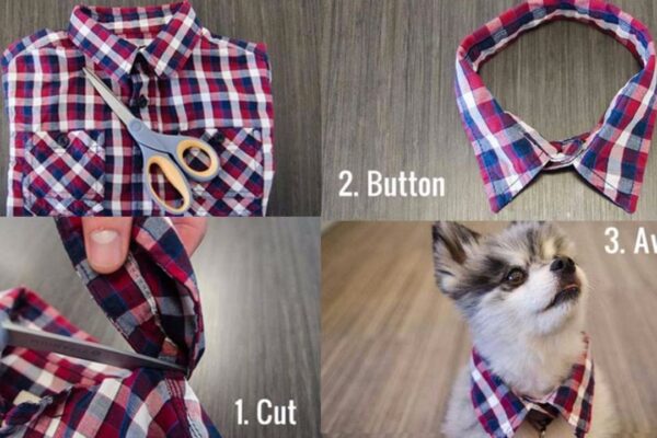 Finished 33 Dog Hacks To Try, a completed DIY project