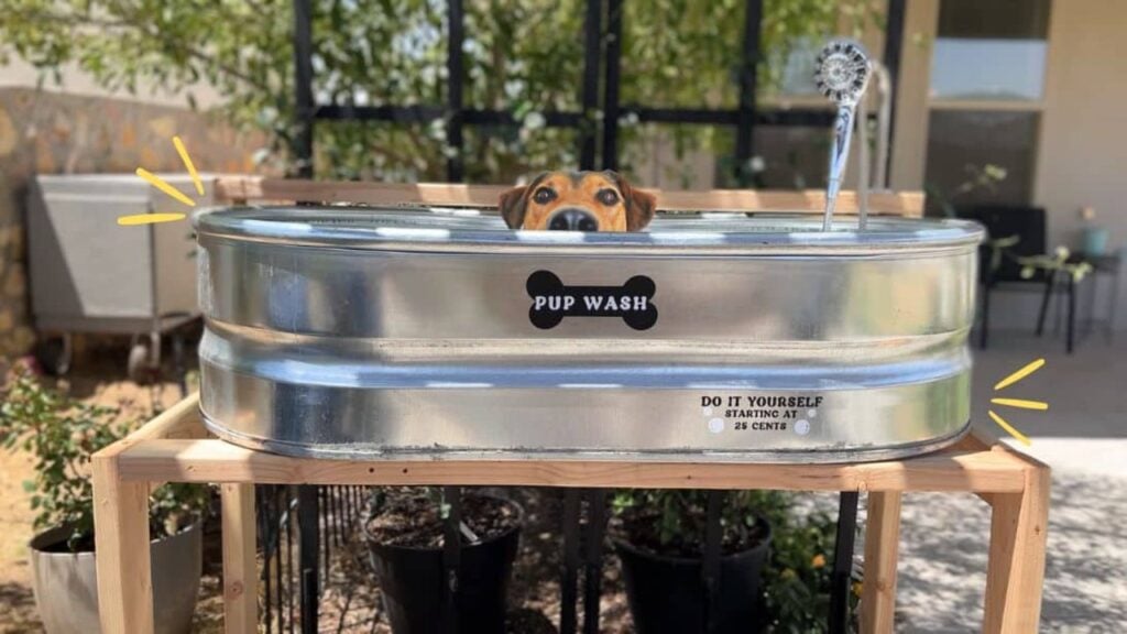 Finished DIY Dog Wash Station, a completed DIY project
