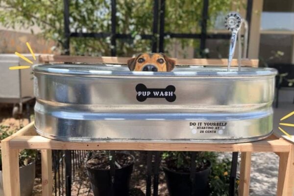 Finished DIY Dog Wash Station, a completed DIY project