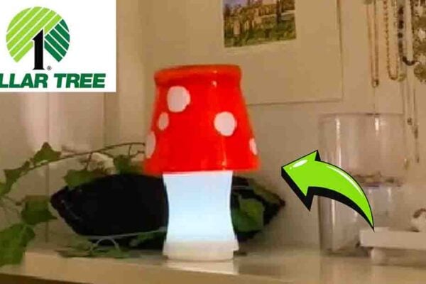 Finished DIY Dollar Tree Mushroom Lamp, a completed DIY project