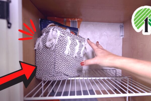 Finished 5 DIY Dollar Tree Small Space Organizing Hacks, a completed DIY project