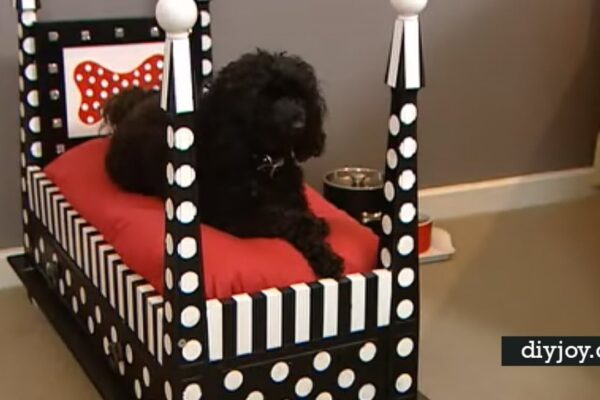 Finished DIY End Table Dog Bed, a completed DIY project