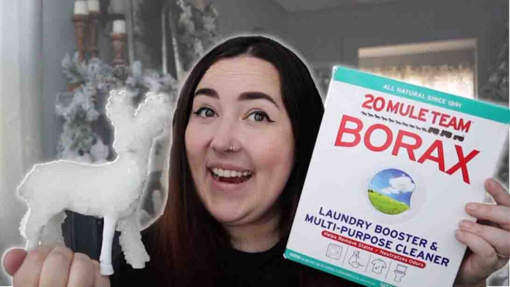 Finished DIY Faux Crystal Winter Decor Using Borax, a completed DIY project