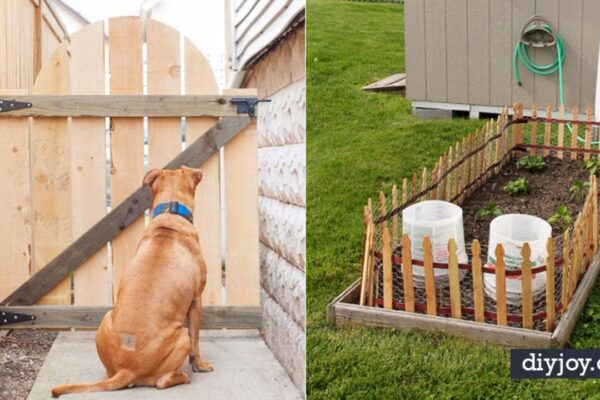 Finished 36 DIY Fences and Gates To Showcase The Yard, a completed DIY project