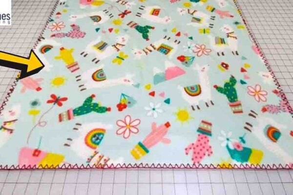 Finished DIY Fleece Blanket with Closed Blanket Stitch Edge, a completed DIY project