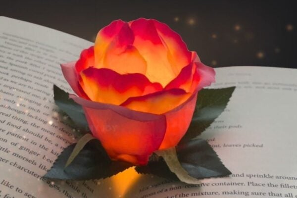 DIY Flower Light — easy step-by-step DIY tutorial.