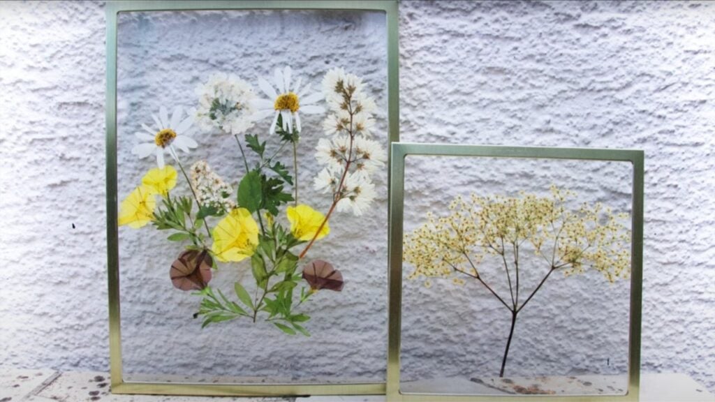 Finished DIY Framed Pressed Flowers, a completed DIY project
