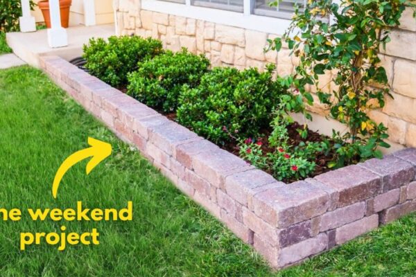 Finished Ultimate DIY Garden Edging That Will Last Forever, a completed DIY project