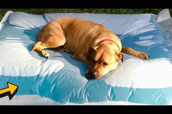 Finished DIY Giant Water Blob, a completed DIY project